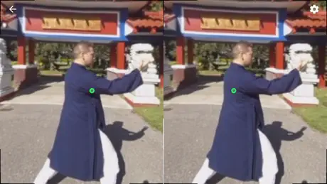 Tai Chi Trainer XR