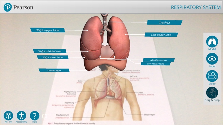 Pearson's Off the Page screenshot-7