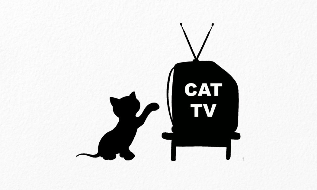 Cat TV - The Ultimate TV for Cats su App Store