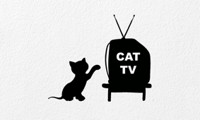 Cat TV - The Ultimate TV for Cats アプリアイコン、Apple TV App Store 付费榜 13 位