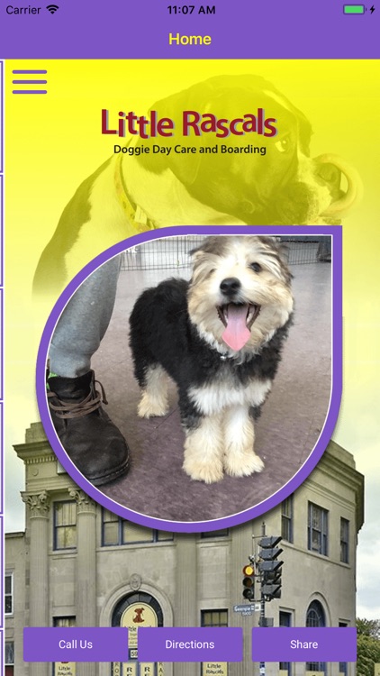 Little Rascals Doggie Daycare