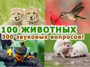 Животные для детей! lite айпад изображения 1