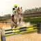 Horseback Riding: Derby Racing is a free horse game with 3d horse racing race course