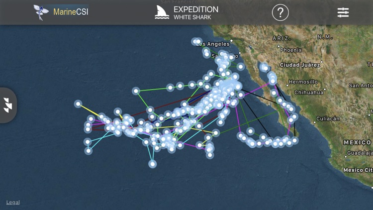 Expedition White Shark