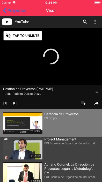 Simulador PMP Proyectos Lite screenshot-5