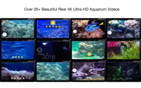 aquarium 4k - live wallpaper iphone resimleri 4