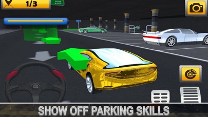 Multi-Level Car Parking Skill screenshot 2