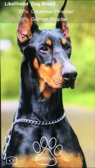 Screenshot #3 pour puppy.ai — Dog Breed Detector