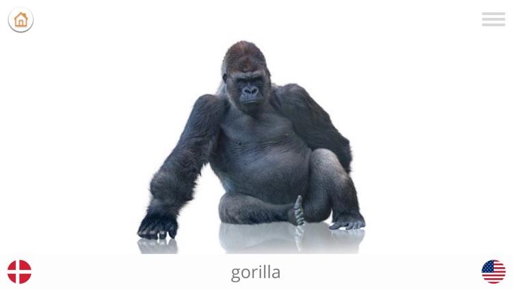 Play and Learn DANISH