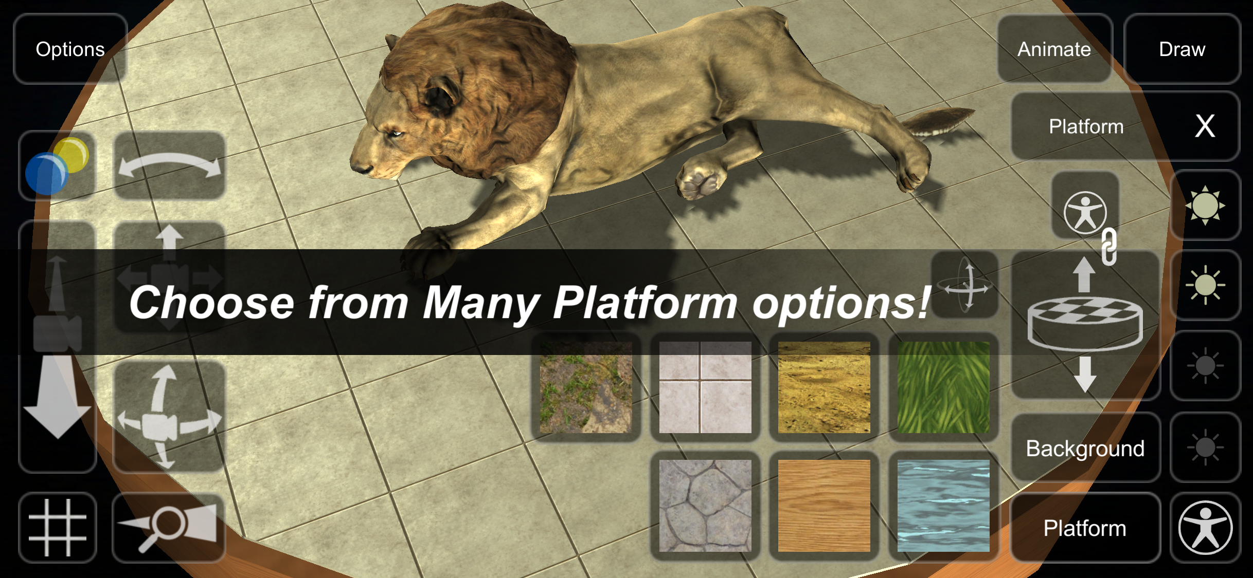 Lion Mannequin