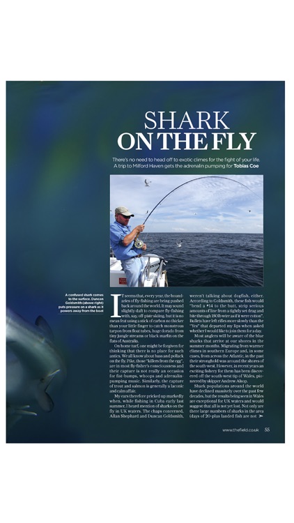 The Field Magazine INT