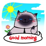 Download Cat Stickers: Fat Sam app