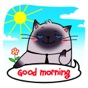 Cat Stickers: Fat Sam app download