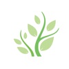 PortalSync Green Branch
