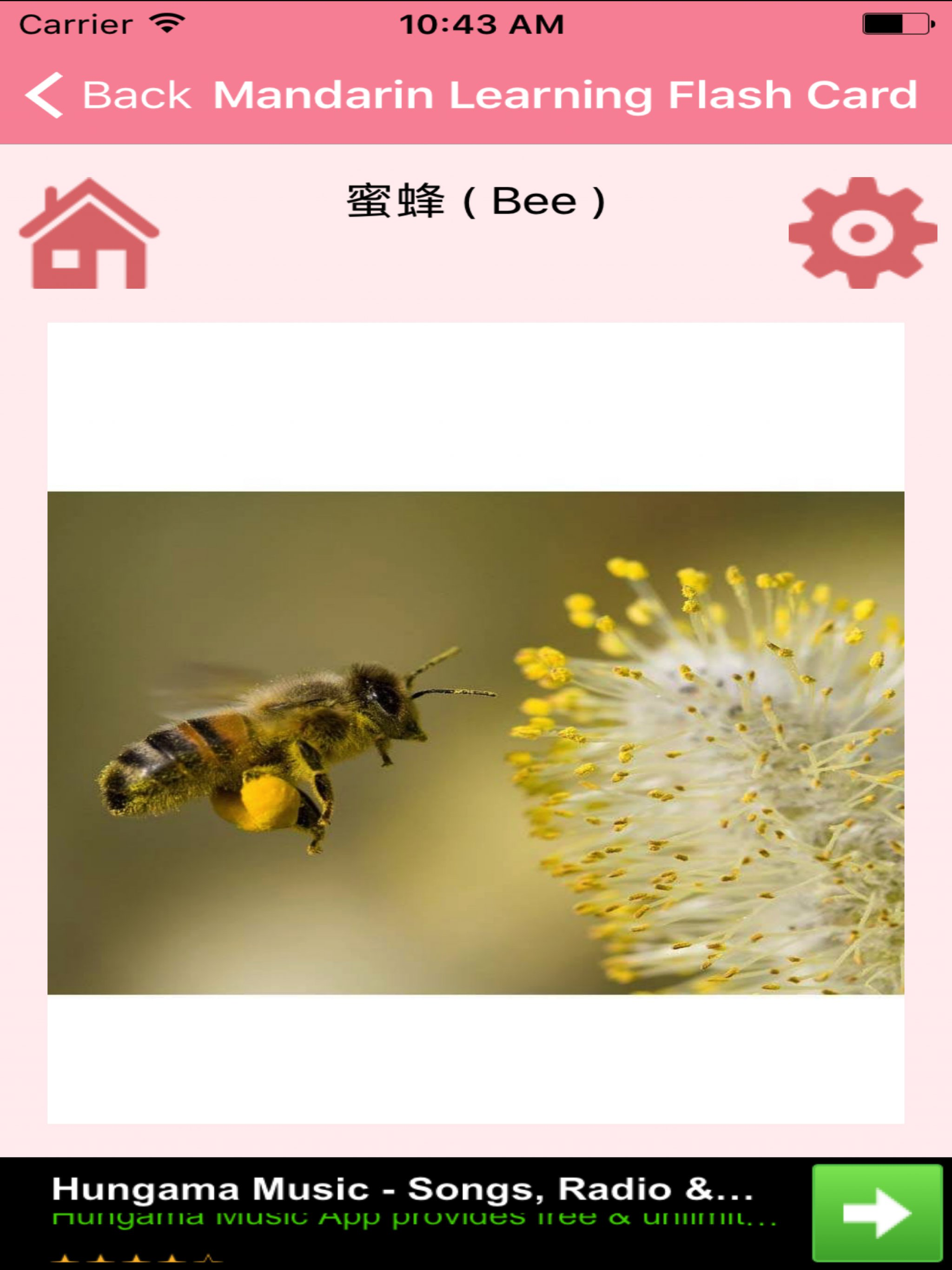 Mandarin Learning Flash Card screenshot 8
