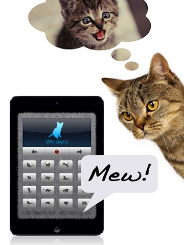 Screenshot #4 pour Traducteur en langage chat