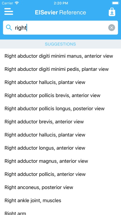 Muscular System Manual screenshot-4