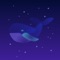 A simple yet powerful application used to play music, audiobooks or podcasts while drifting off to sleep