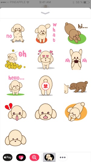 Apple the poodle(圖4)-速報App