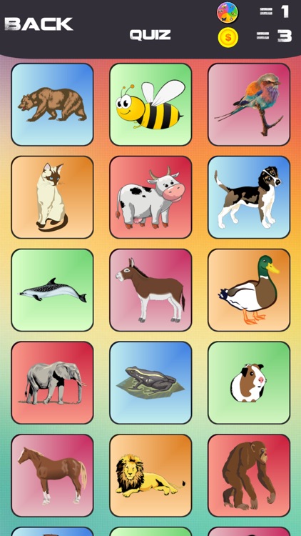 THE BEST QUIZ-fun for all ages