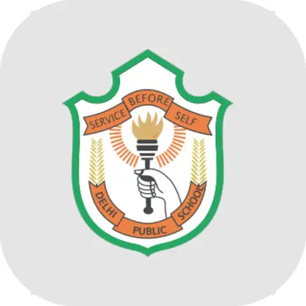 DPS Surat Читы