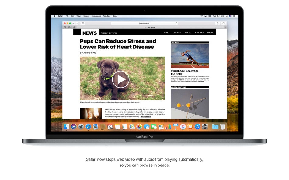 #2. macOS High Sierra (macOS) 由: Apple