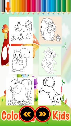 A Little Squirrel Animals Zoo Coloring Books on the App Store A Little Squirrel Animals Zoo Coloring Books on the App Store