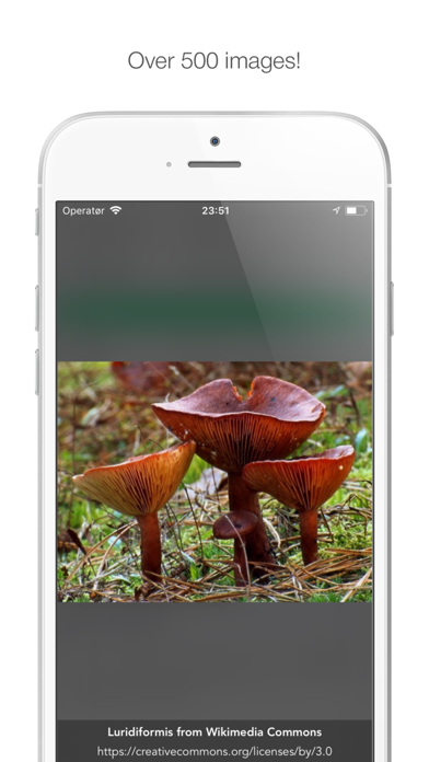 Mushy: Complete Mushroom Guideのおすすめ画像10