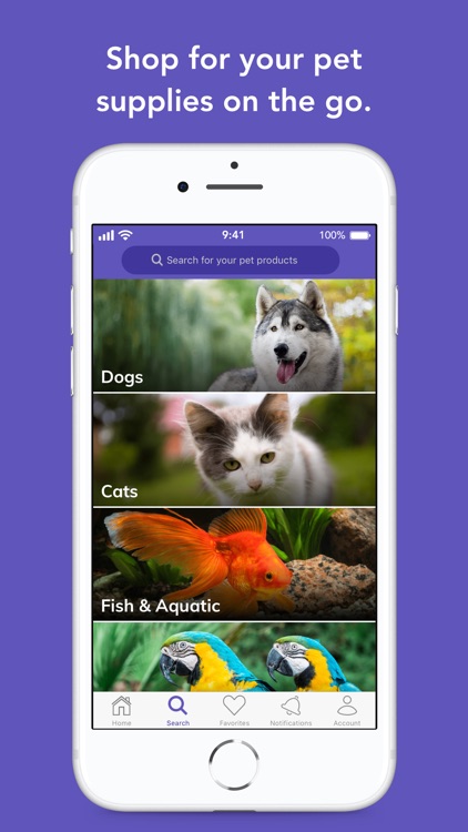 Mochi: Pet Supplies for Amazon