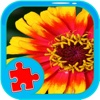 Puzzle Learning Flower Games Edition