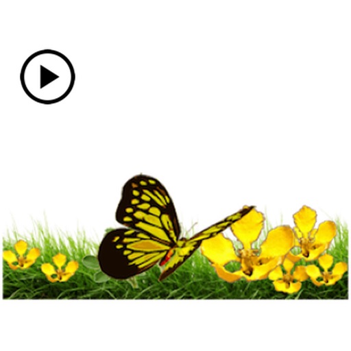 Butterfly And Flower Greetings icon