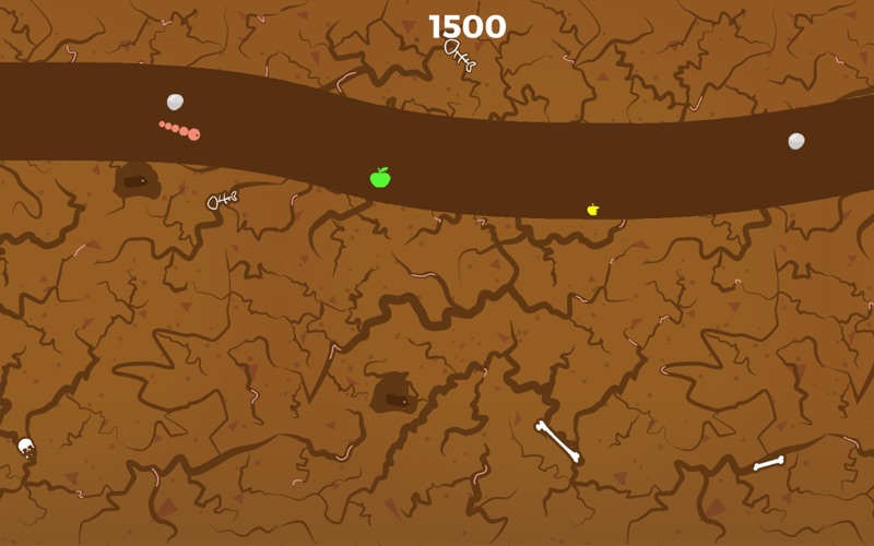 TunnelWorm app screenshot 3