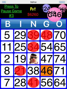 Game screenshot BigBingo mod apk