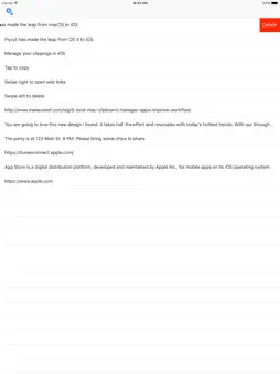 Flycut screenshot 9