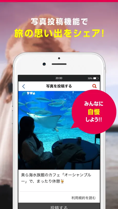 宅鼠