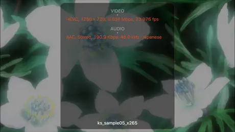 KPlayerAir