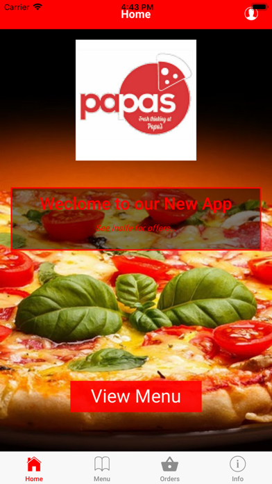 Papas Pizza L35 screenshot 3