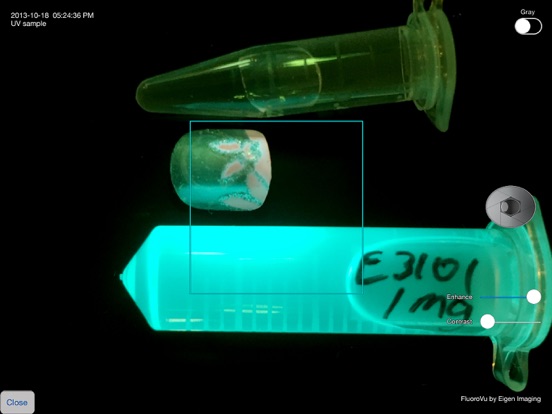 Screenshot #6 pour FluoroVu