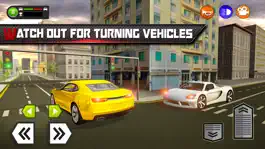 Game screenshot Driving School Simulator in 3D hack