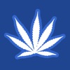 IBudtender Cannabis Assistant