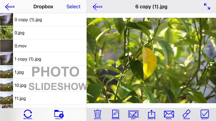 CloudEye Lite - File Browser screenshot-4