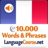 Learn French Words & Phrases