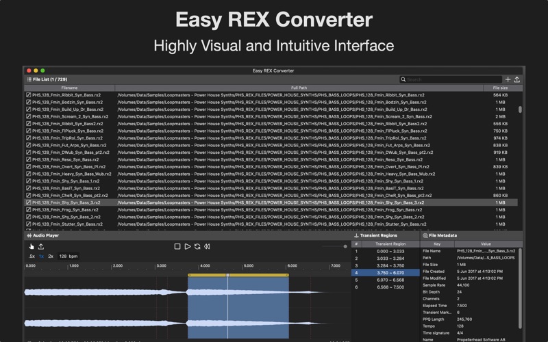 Screenshot #2 pour Easy REX Converter