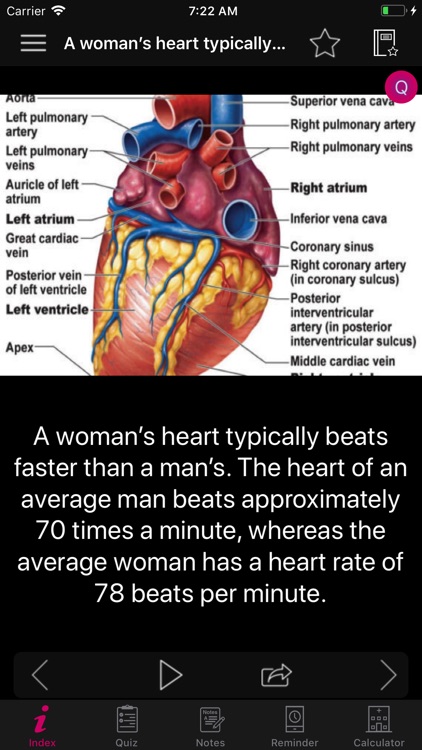 Human Heart Facts & Quiz 3000