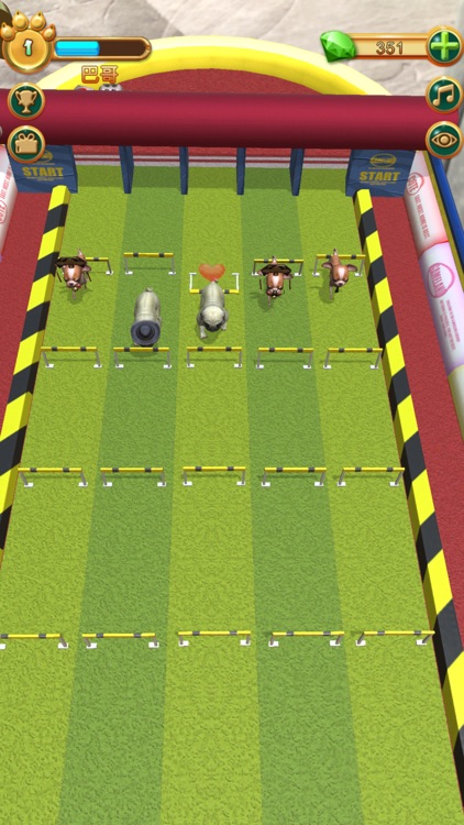 AR WOW - Have a cute dog screenshot-4