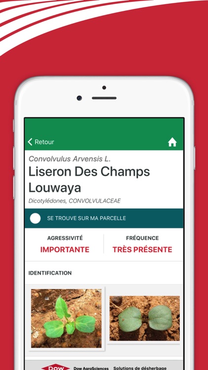 CerealsXpert screenshot-3