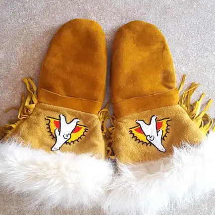 KOBE Learn Cree Cheats