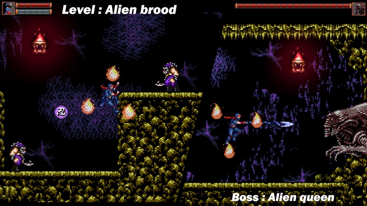 Ninja Ranger screenshot-6
