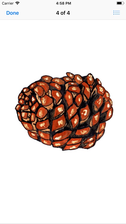 Pine Cone Stickers screenshot-4
