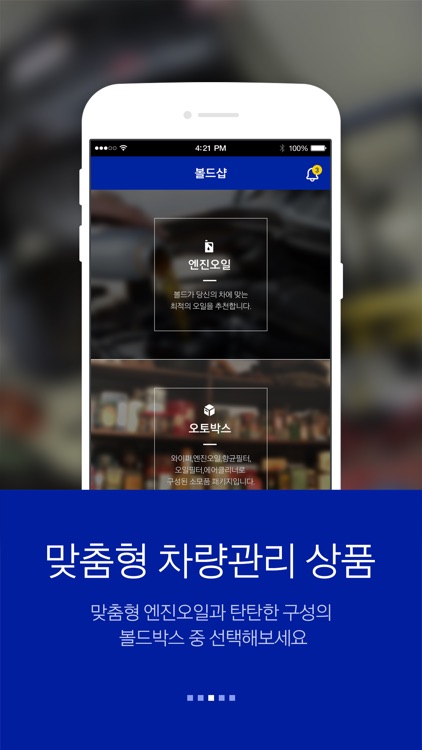 볼드 (Bold Maintenance)